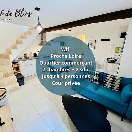 2 Suites, Cour Privee, Climatisation, Le Nid De Blois Vienne Exterior photo