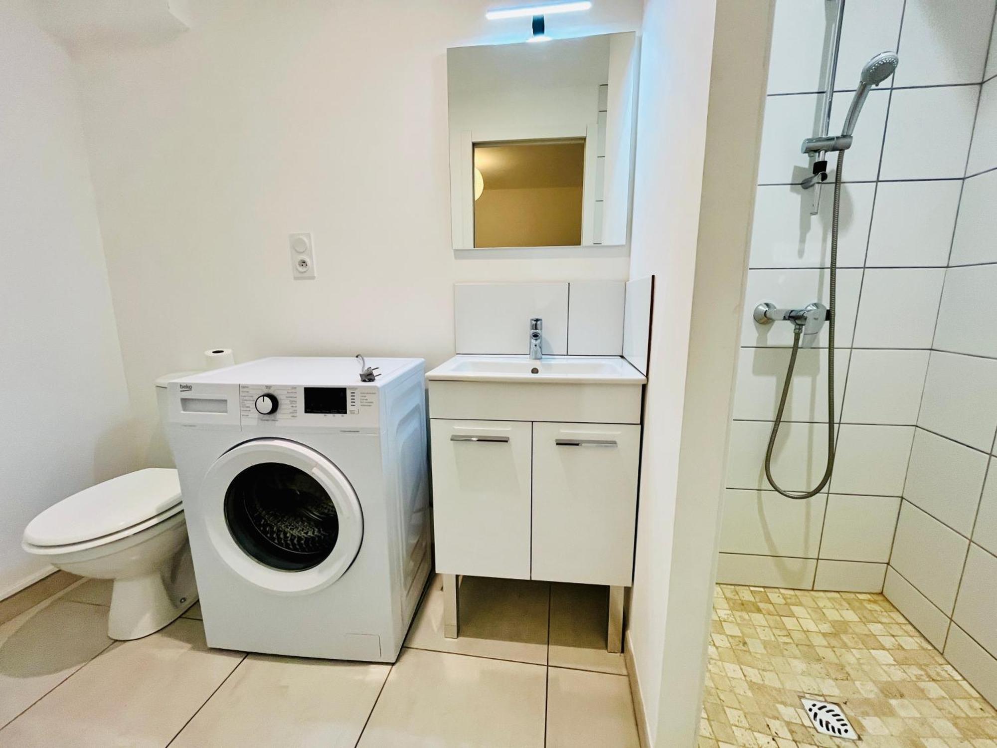 2 Suites, Cour Privee, Climatisation, Le Nid De Blois Vienne Exterior photo